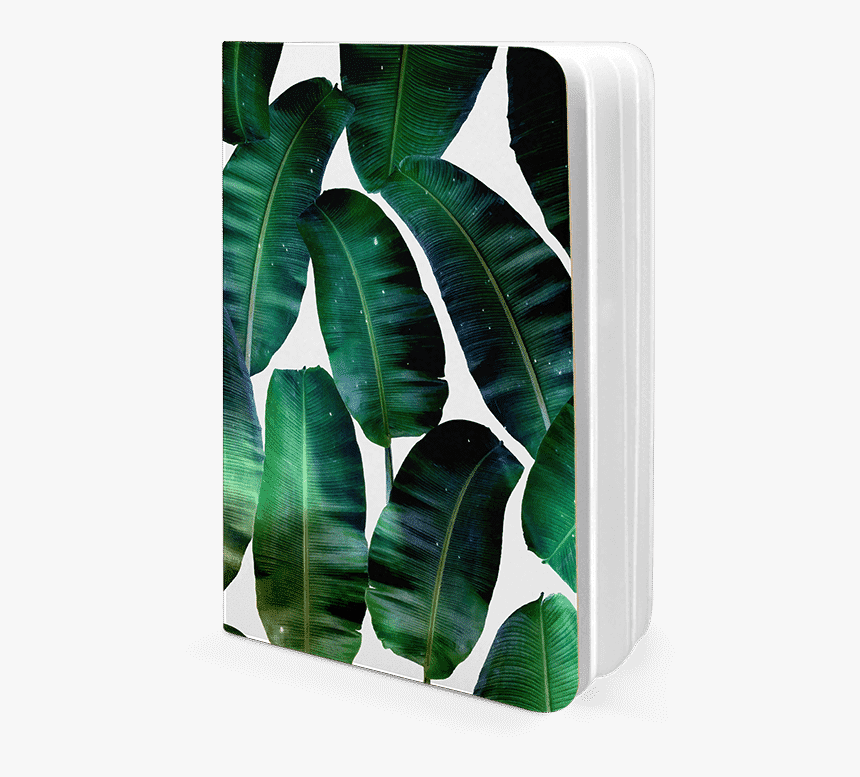 Bay Laurel, HD Png Download