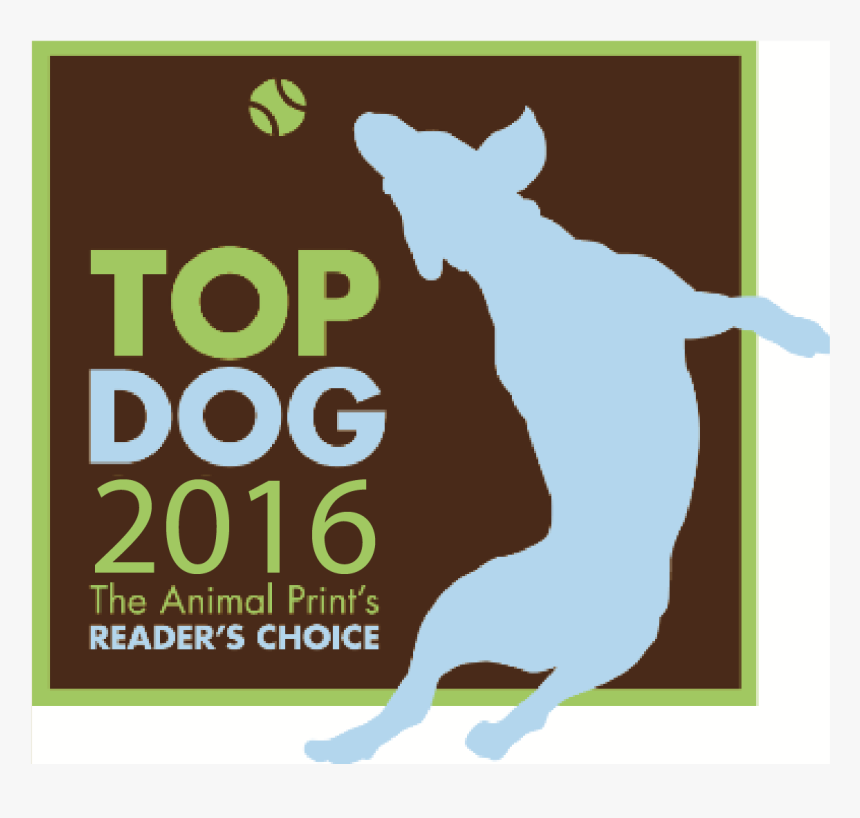 2016 Top Dog Winners Ri Animal Medical Center And Four - Poster, HD Png Download