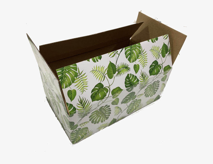 10x6x4 Banana Leaves Designer Boxes - Box, HD Png Download