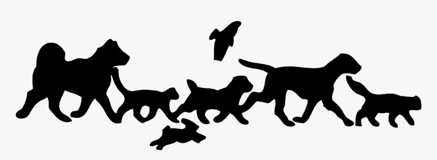 Animal Hospital, HD Png Download