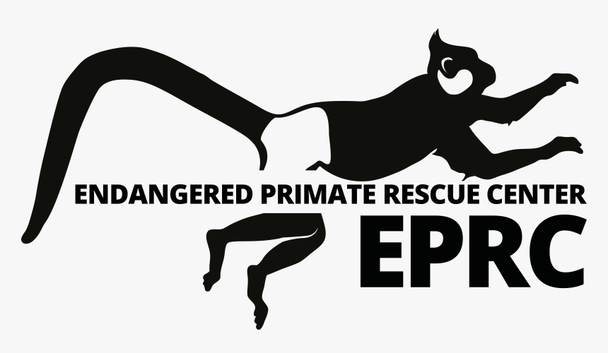 Transparent Jumping Cat Png, Png Download