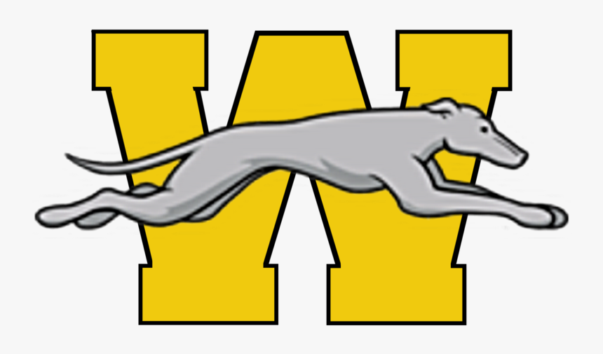 Content 1555513540-yellow W Withgreyhound Huge - Wilmington Greyhounds Logos, HD Png Download