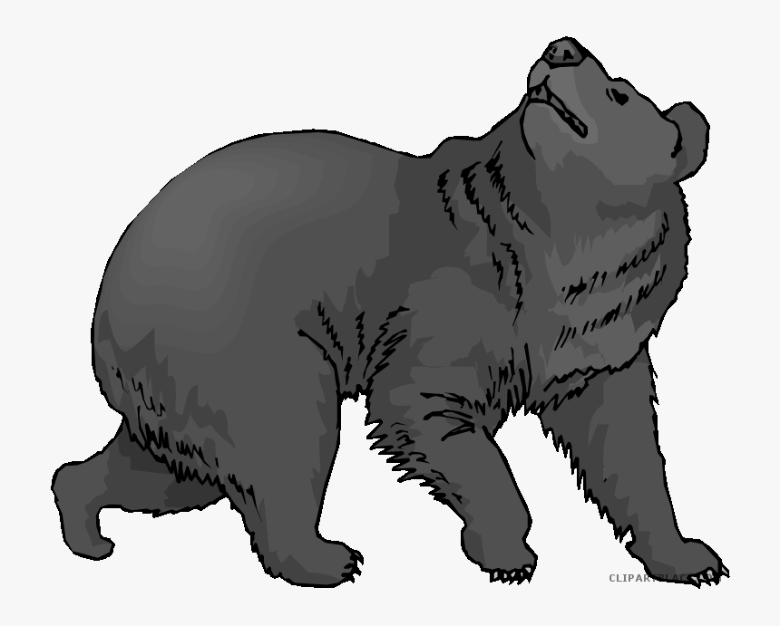 American Black Bear Clip Art Grizzly Bear Polar Bear - Clip Art Of Bears, HD Png Download