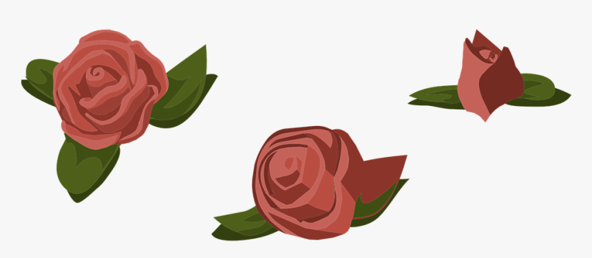 Cartoon Rose 16, Buy Clip Art - Garden Roses, HD Png Download