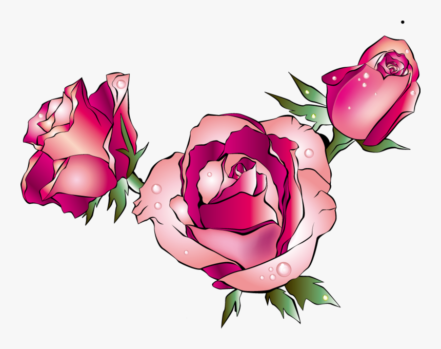 Rose Images Cartoon - Garden Roses, HD Png Download