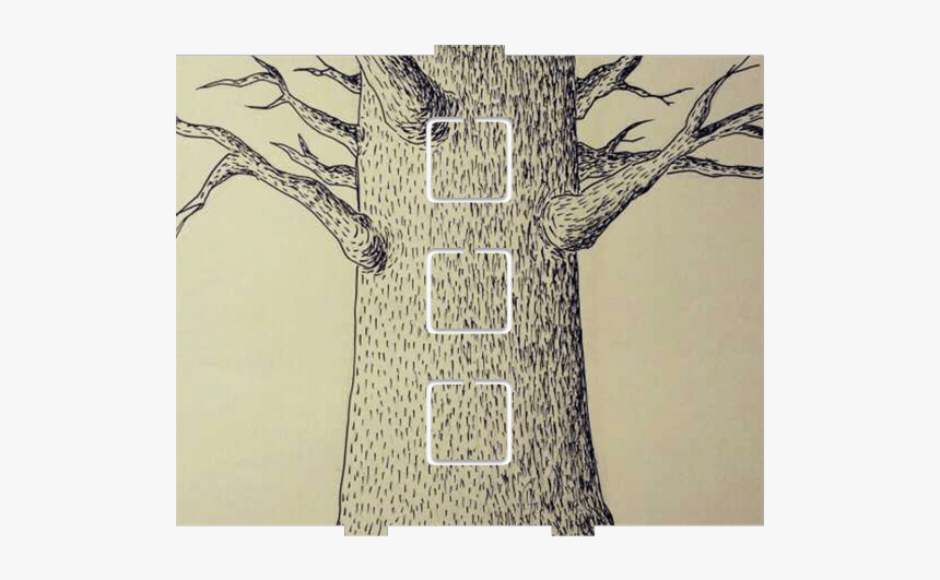 Adansonia, HD Png Download