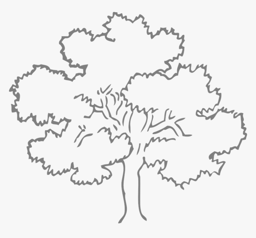 Oak, Tree, Grey, Outline, Nature, Ecology, Environment - Outline Pictures Of Tree, HD Png Download
