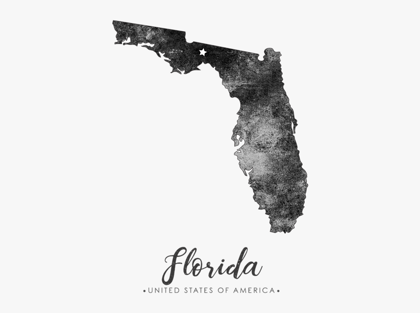 State Of Florida Art, HD Png Download