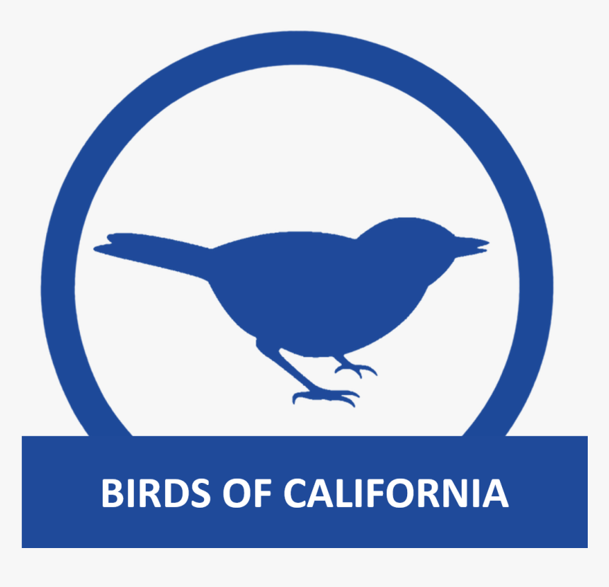 Birds Of California - Stickers Animaux, HD Png Download