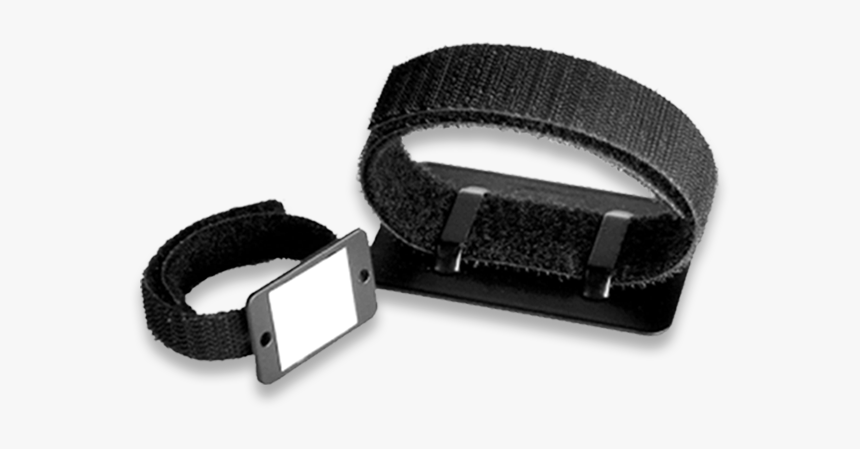 Buckle, HD Png Download