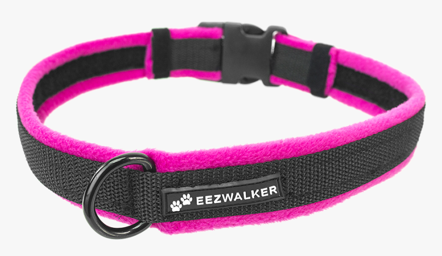 Eezwalker Dog Collar - Dog Collar Png, Transparent Png