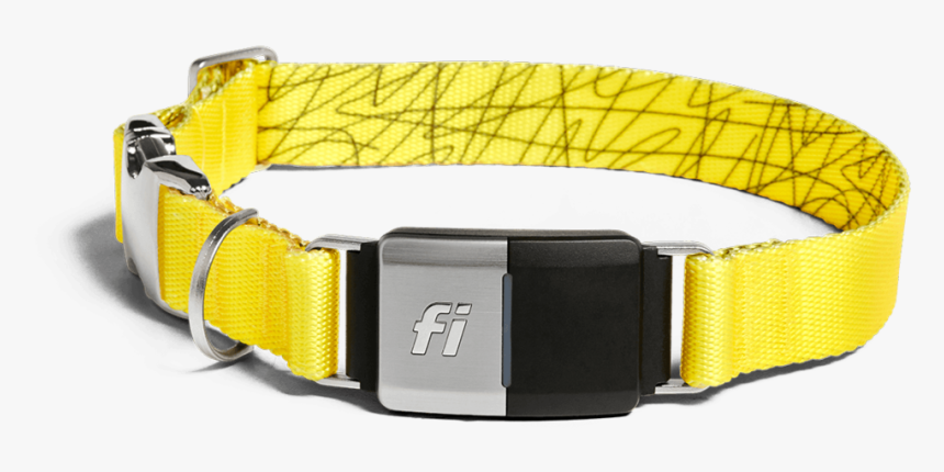 Full Device Yellow@2x - Fi Smart Dog Collar, HD Png Download