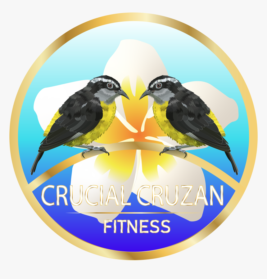 Illustration Design By Gabriel Nunes For Herbalife - Illustration, HD Png Download