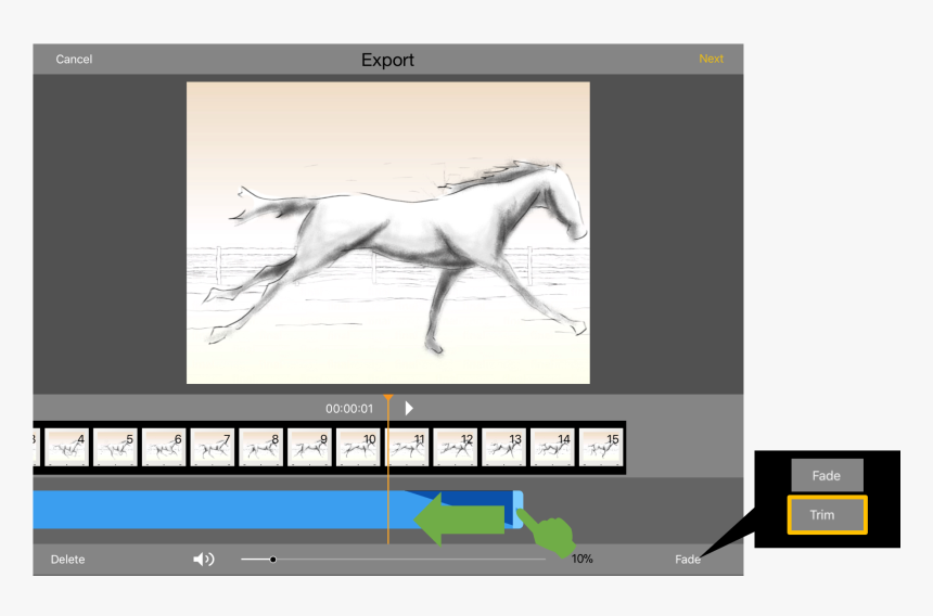 Stallion, HD Png Download