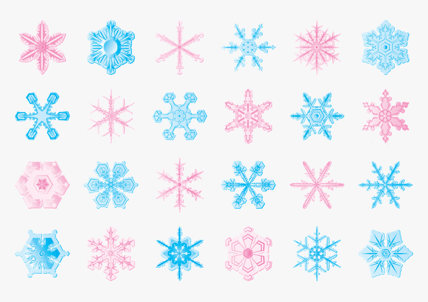 Welcome To Winter 2019 Students, HD Png Download