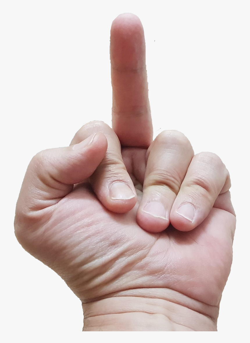 15 Replies 13 Retweets 54 Likes, HD Png Download