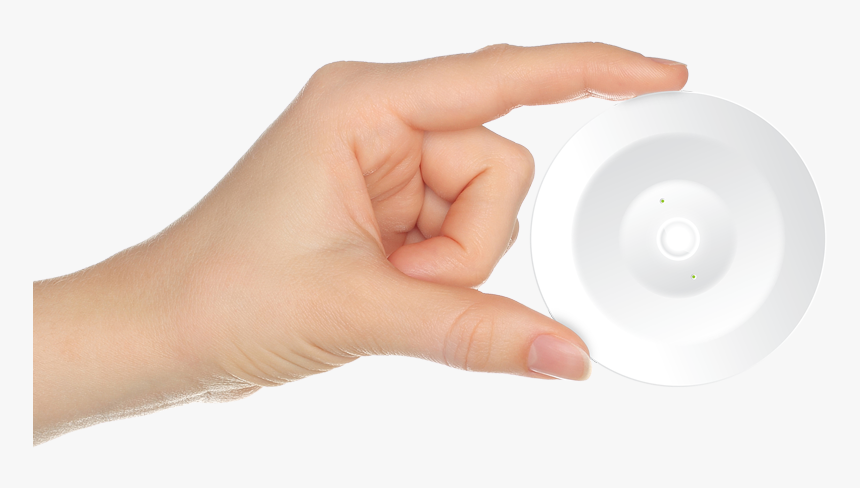 Circle, HD Png Download