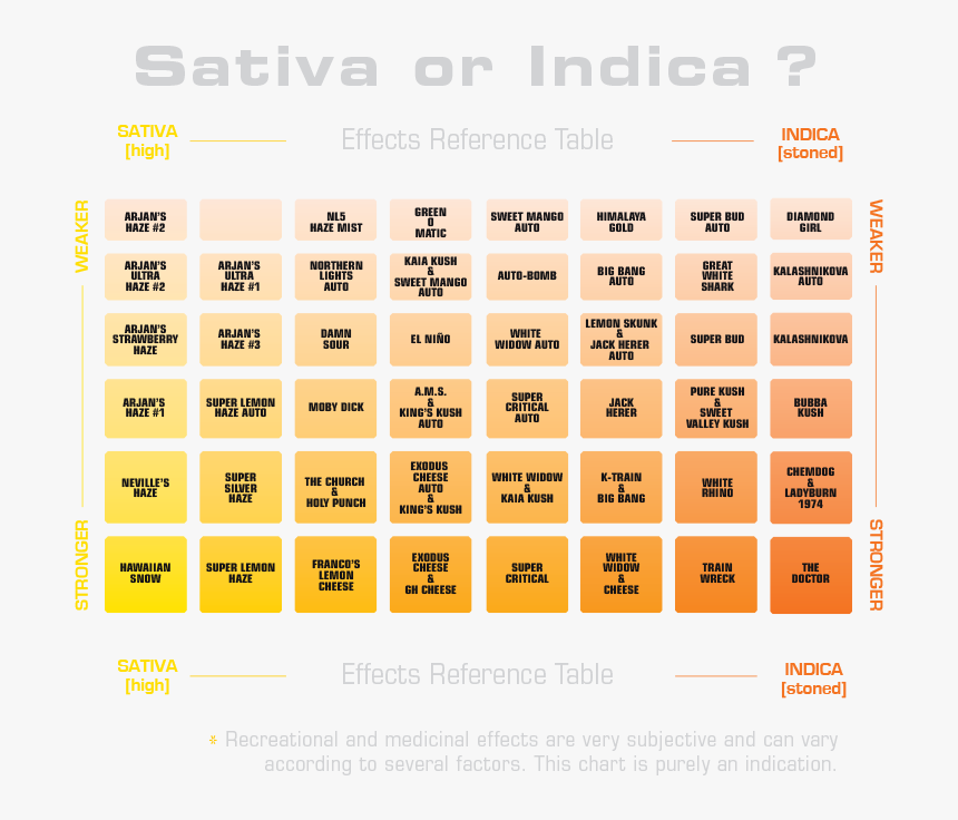 Neighborhood Flat Icon, HD Png Download