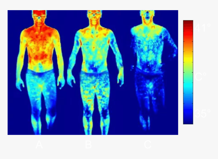 Thermal Body, HD Png Download