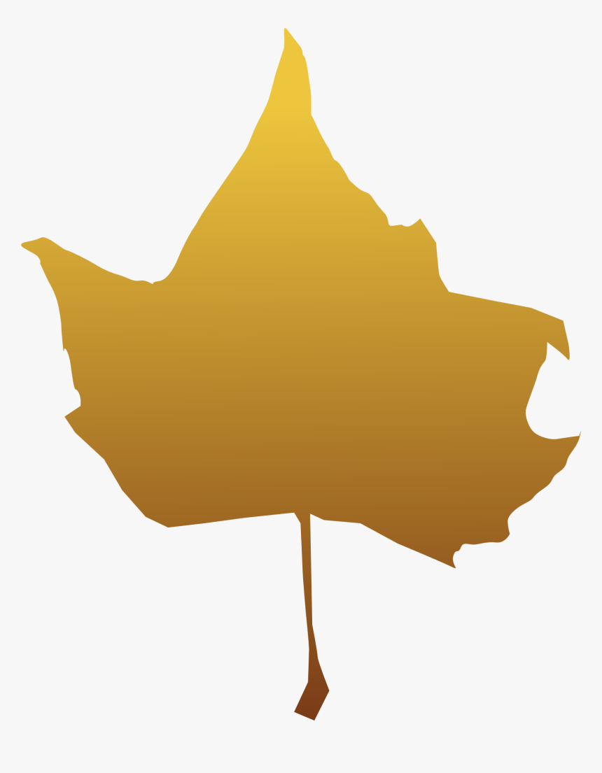 Plant,leaf,maple Leaf - Maple, HD Png Download