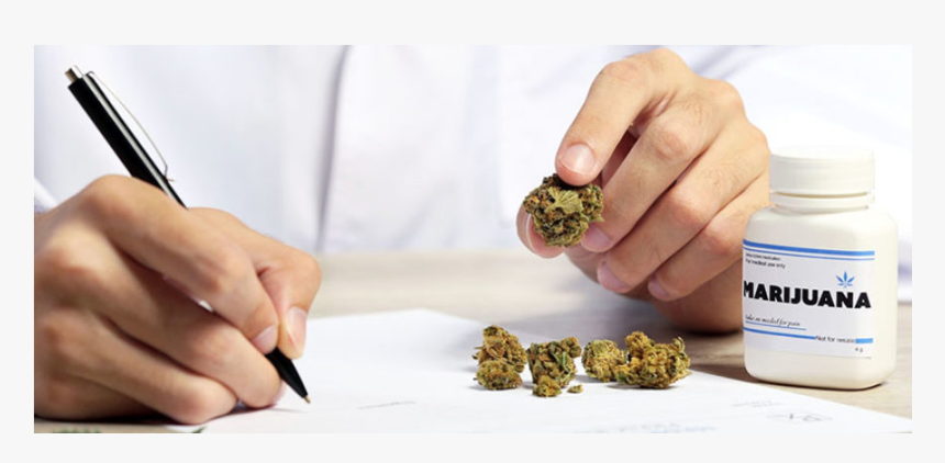 Cannabis Farmacia, HD Png Download