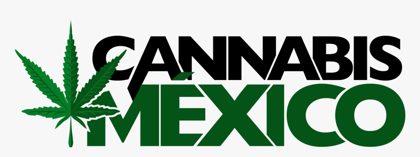 Cannabis Mexico - Graphic Design, HD Png Download