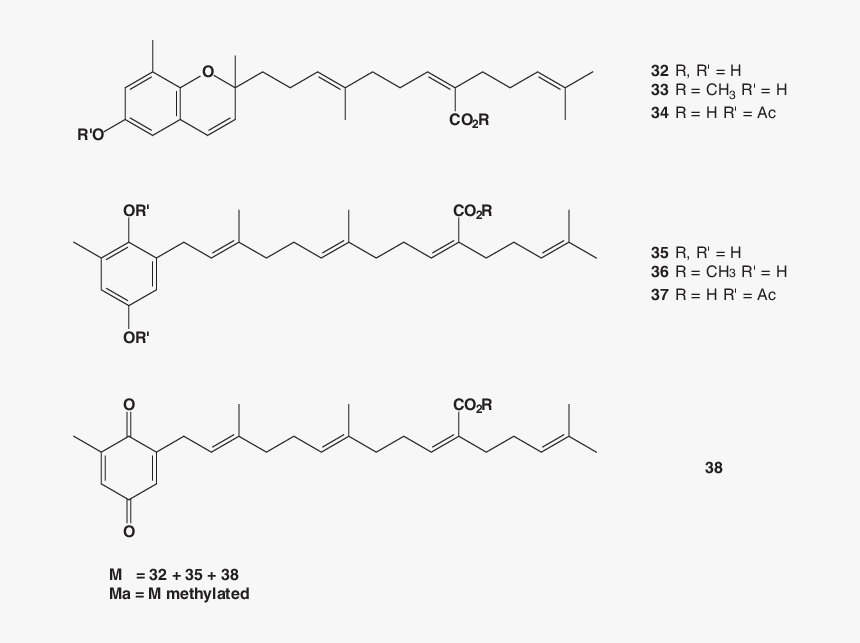 Diagram, HD Png Download