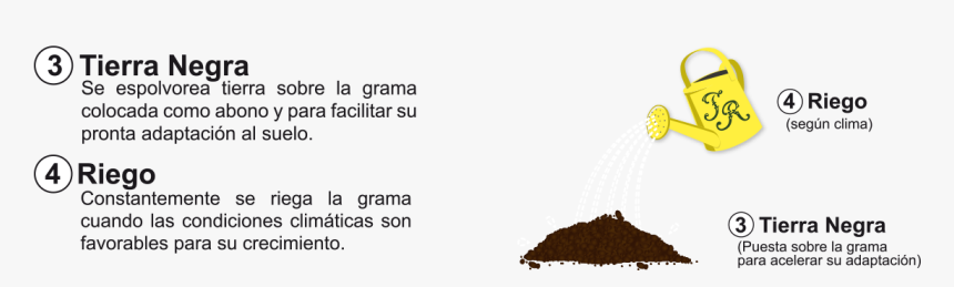 Transparent Grama Png - Barra, Png Download