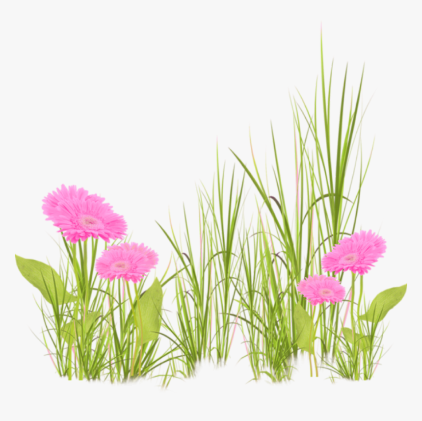 Grama De Flores Png , Png Download - Grama Y Flores Png, Transparent Png
