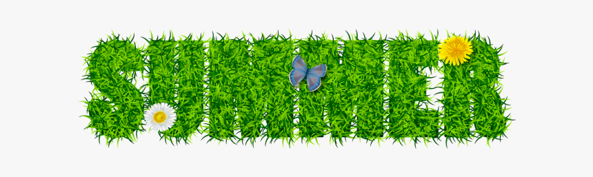 Clip Art Inscri O Da Grama - Floral Design, HD Png Download