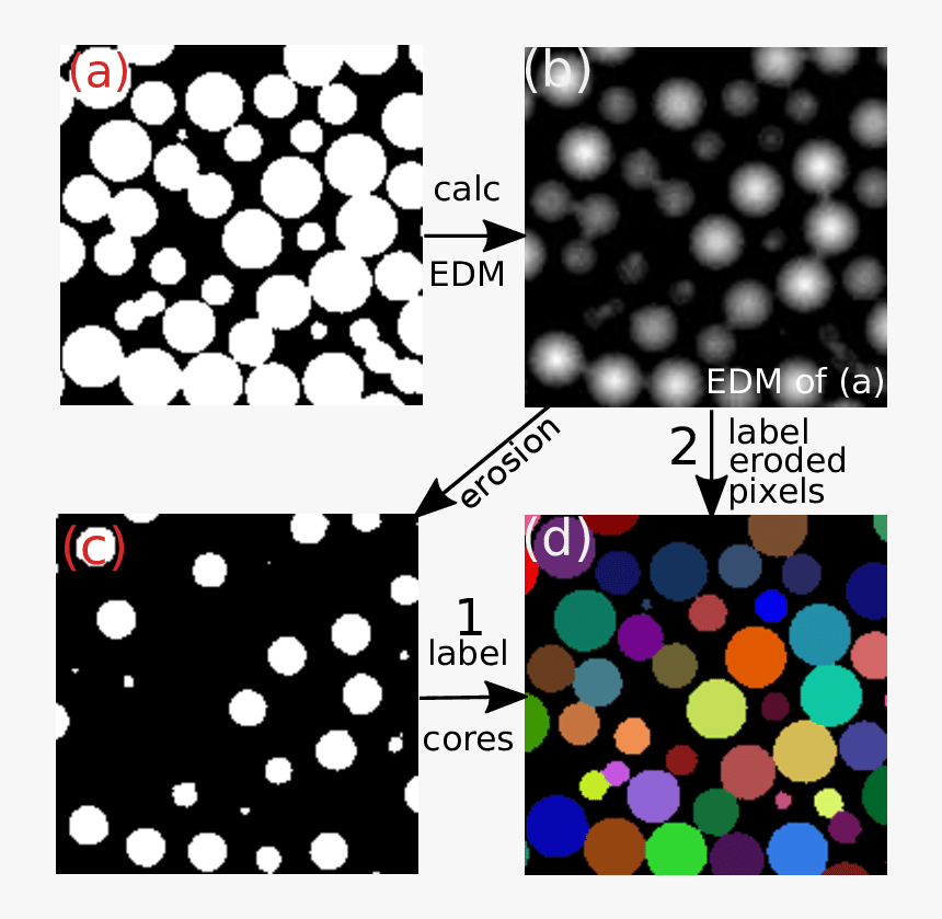 Circle, HD Png Download