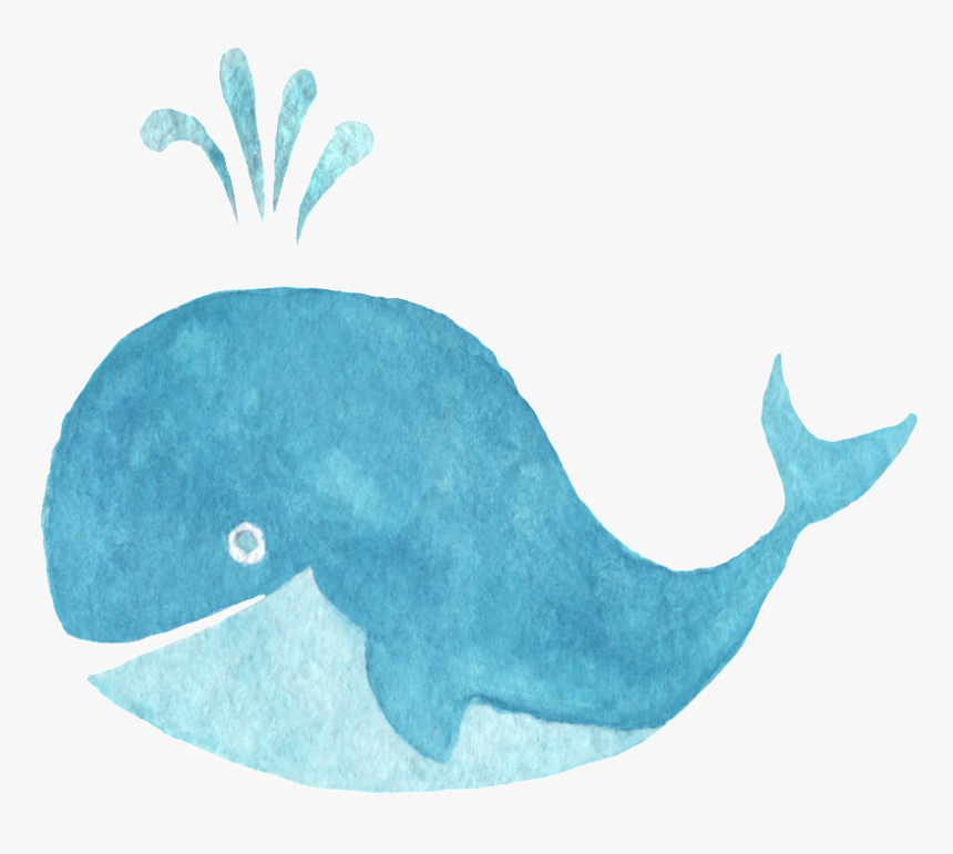Water Spray Blue Whale Transparent Decorative - โลมา สี น้ำ, HD Png Download
