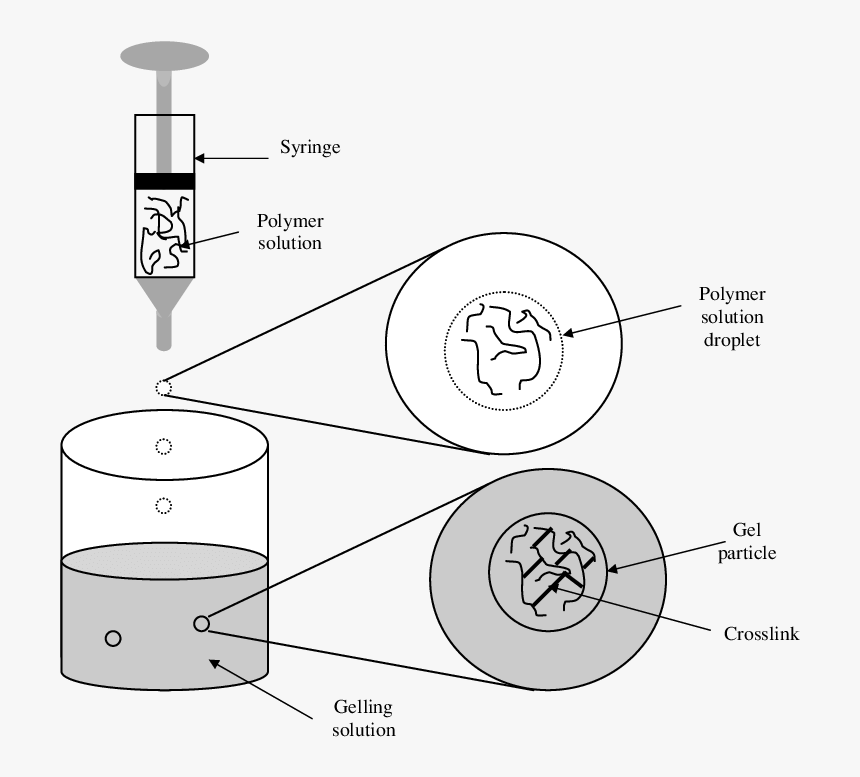 Diagram, HD Png Download