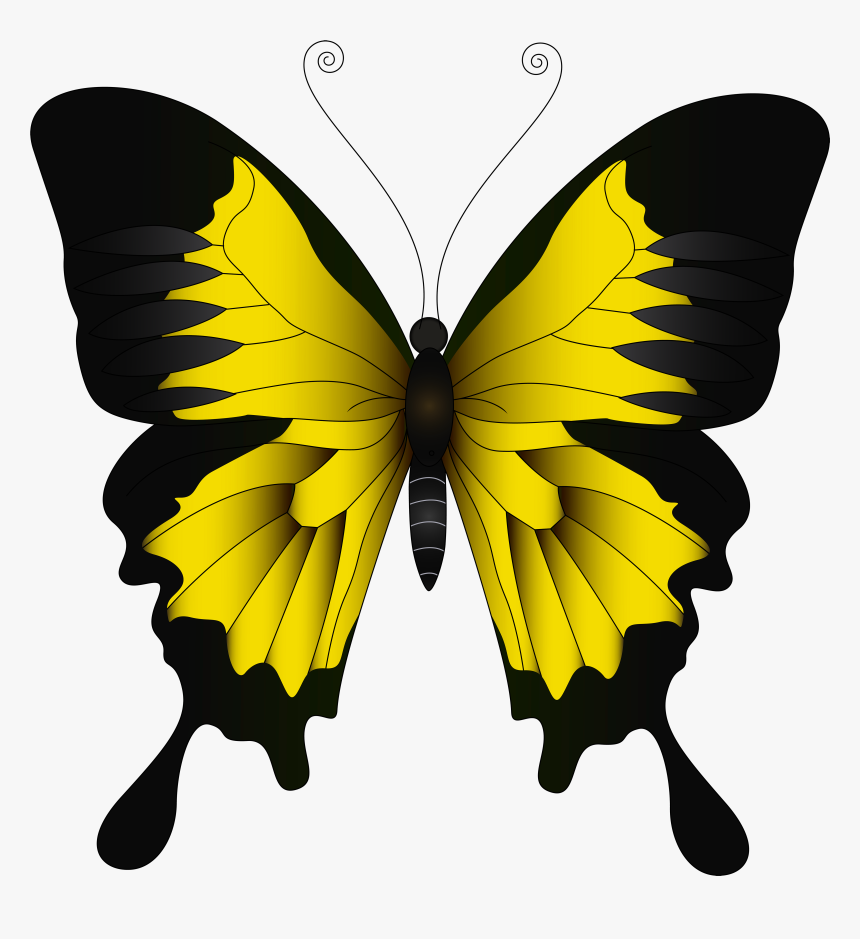 Yellow Png Clip Art - Clipart Yellow Butterfly, Transparent Png