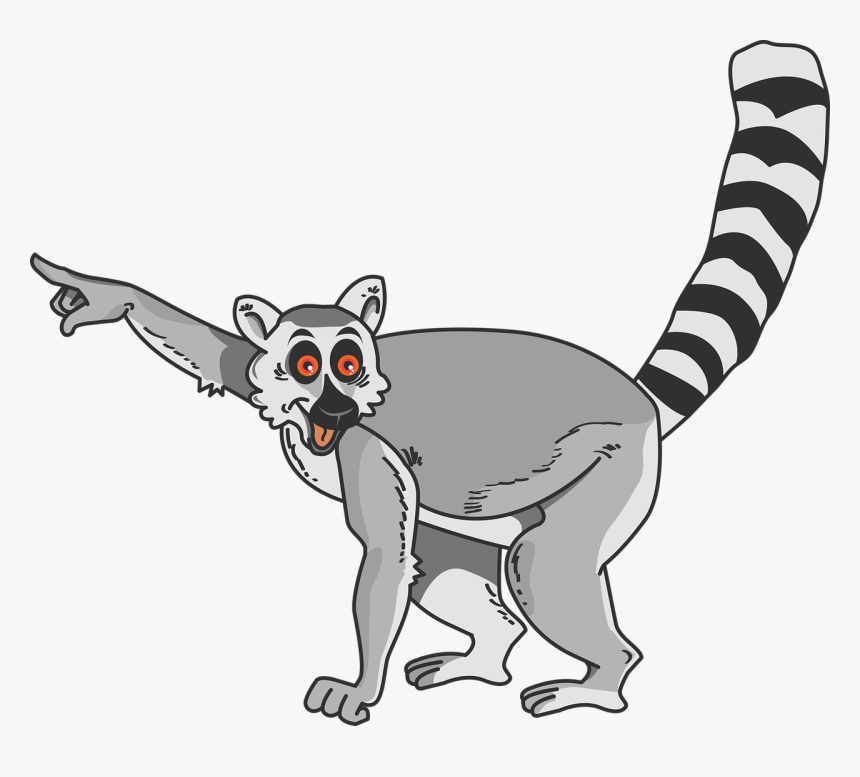 Lemur Clip Art, HD Png Download