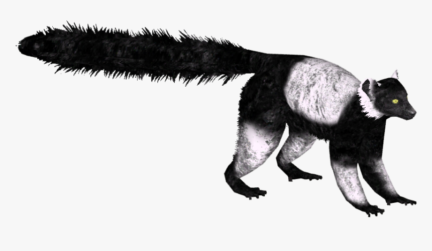 Black And White Lemur Png, Transparent Png