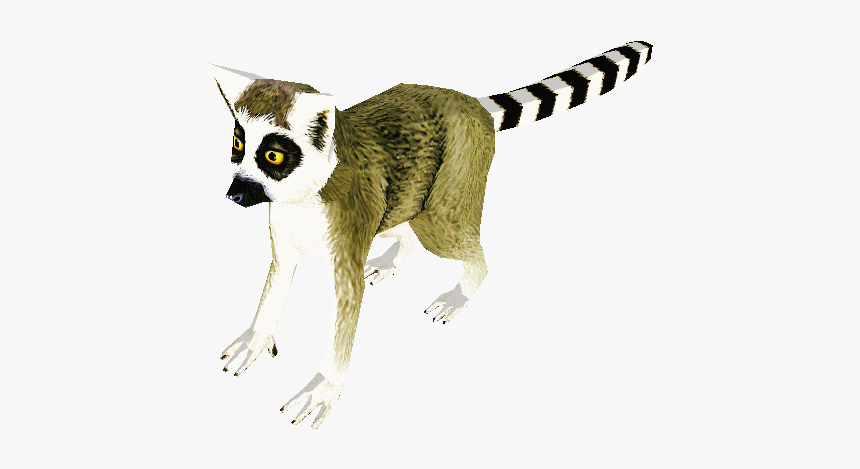 Download Zip Archive - Madagascar Cat, HD Png Download