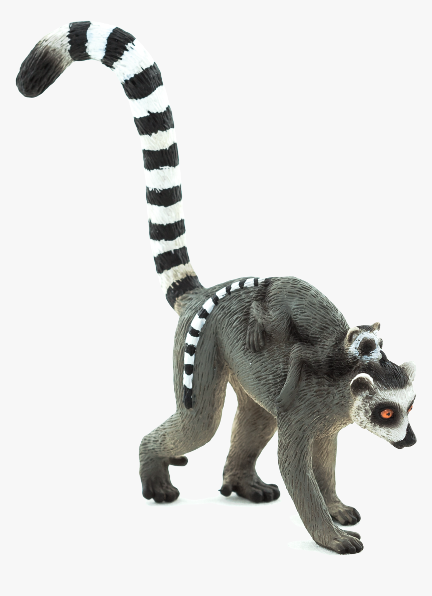 Lemur Transparent, HD Png Download