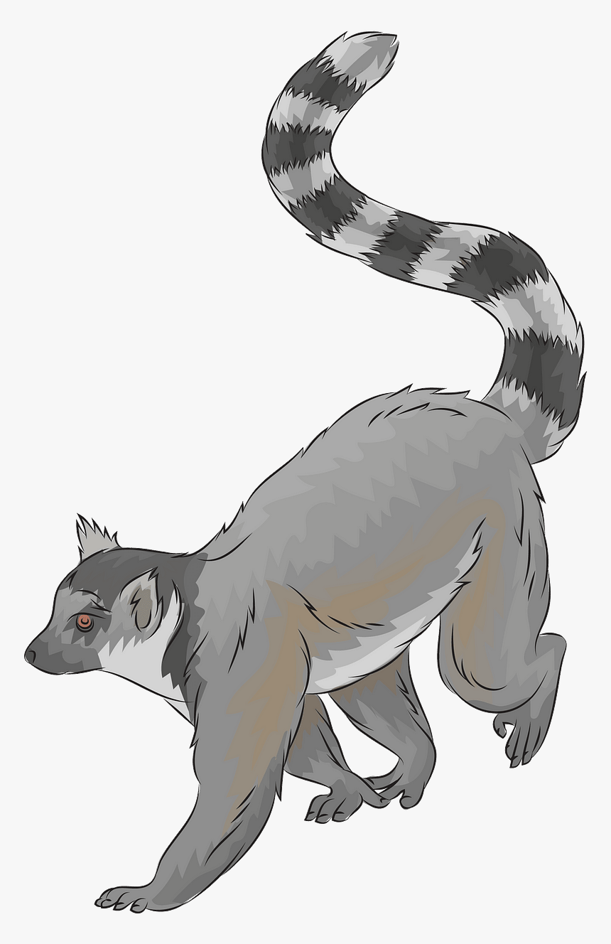 Hog Nosed Skunk, HD Png Download
