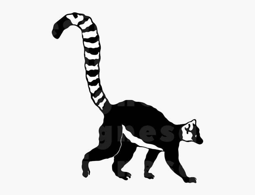 Lemur Silhouette, HD Png Download