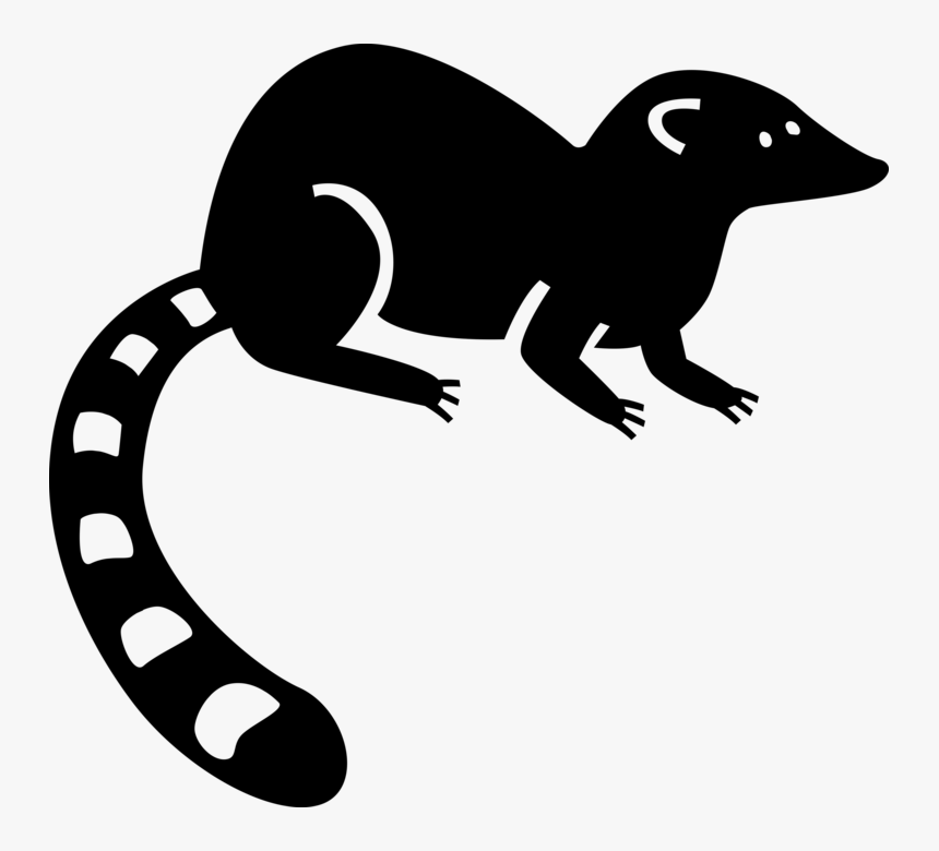 Vector Illustration Of Bushy-tailed Lemur From Island - Marsupial, HD Png Download