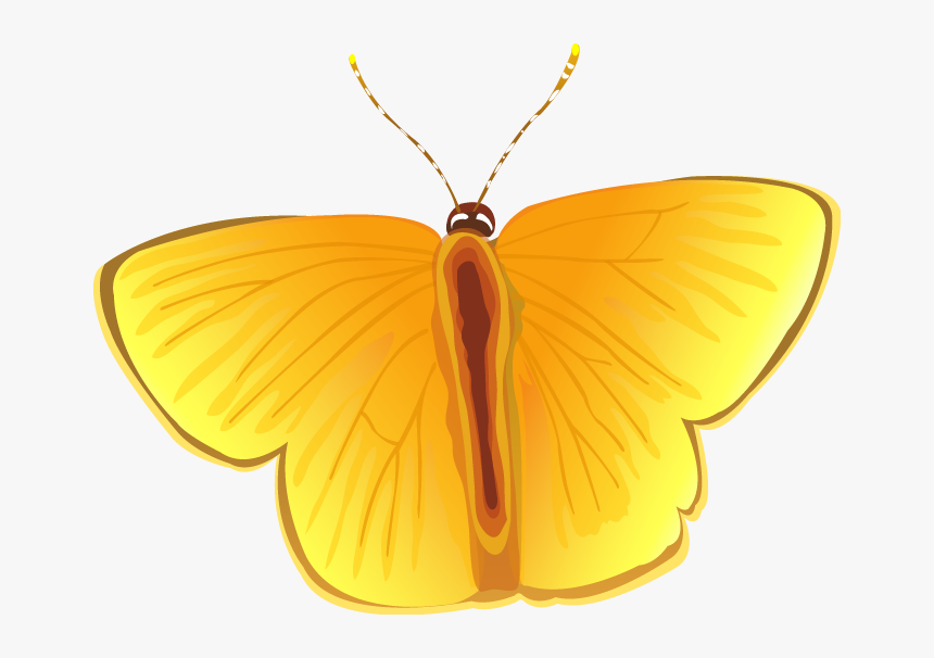 Transparent Butterfly Vector Png - Locket, Png Download
