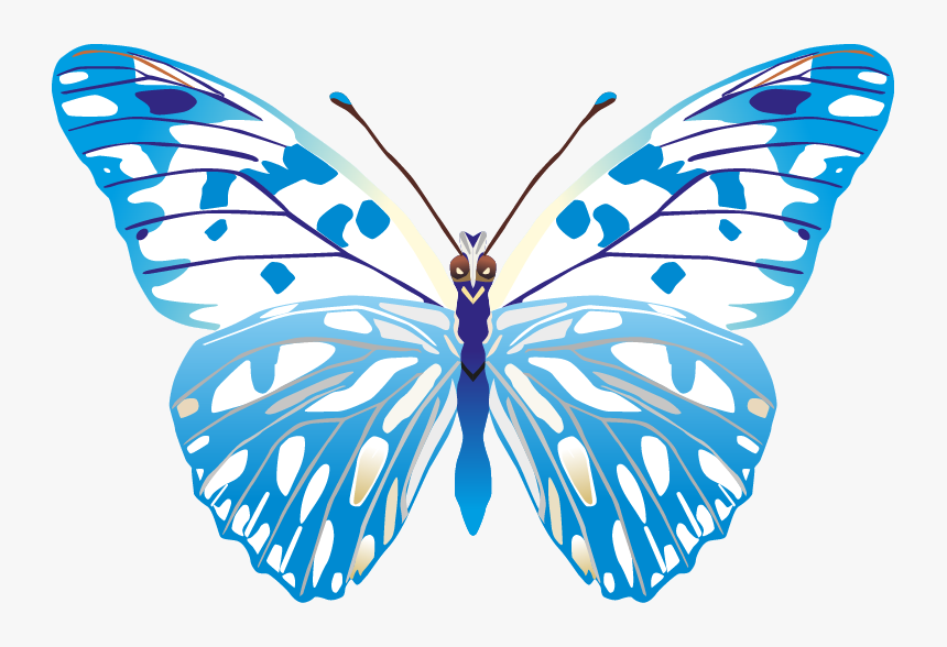 Butterfly Png Images Png - Butterfly Vector Images Png, Transparent Png