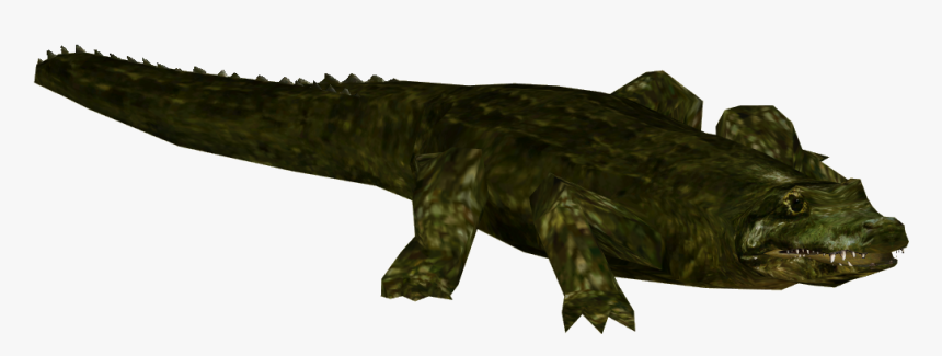 Alligator Prenasalis, HD Png Download