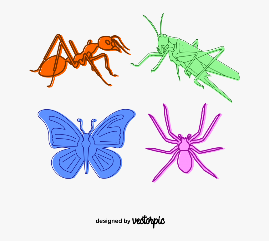 Lycaenid, HD Png Download