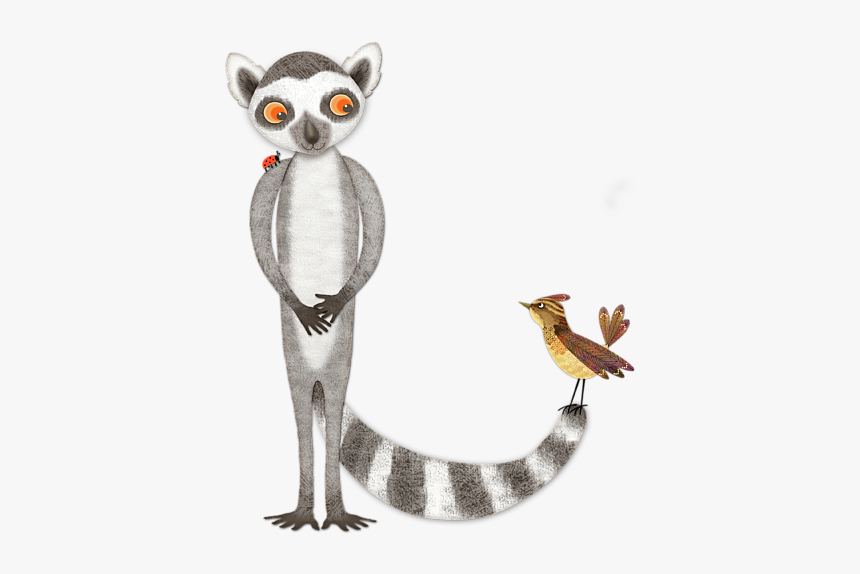 Carolina Wren, HD Png Download