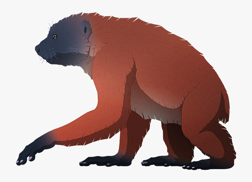 Island Weirdness - Fontoynontii Giant Lemur, HD Png Download
