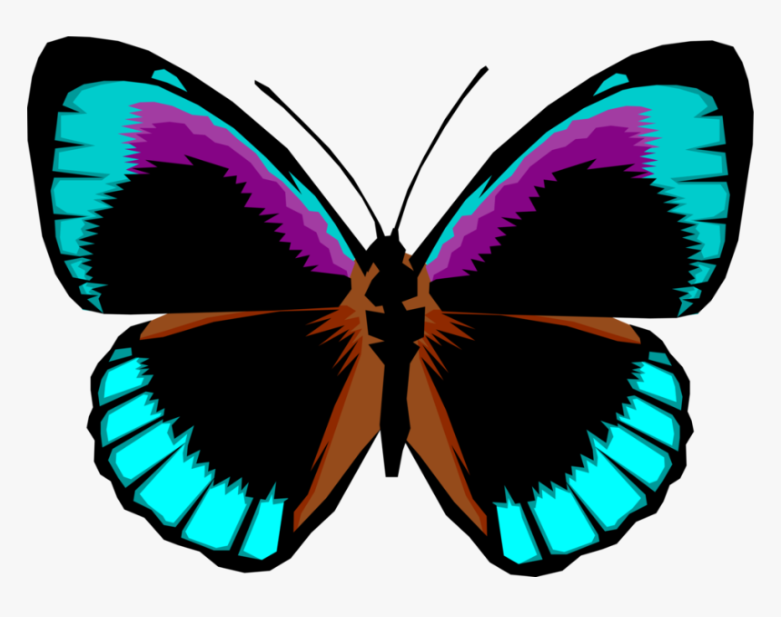 Vector Illustration Of Colorful Black And Blue Butterfly, HD Png Download
