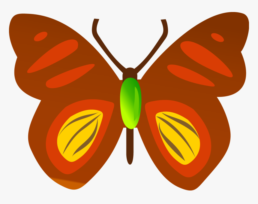 Butterfly, HD Png Download