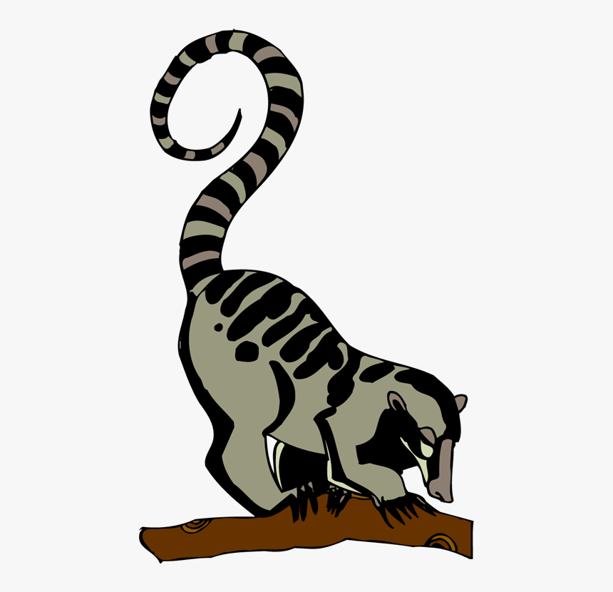 Lemur Clip Art, HD Png Download